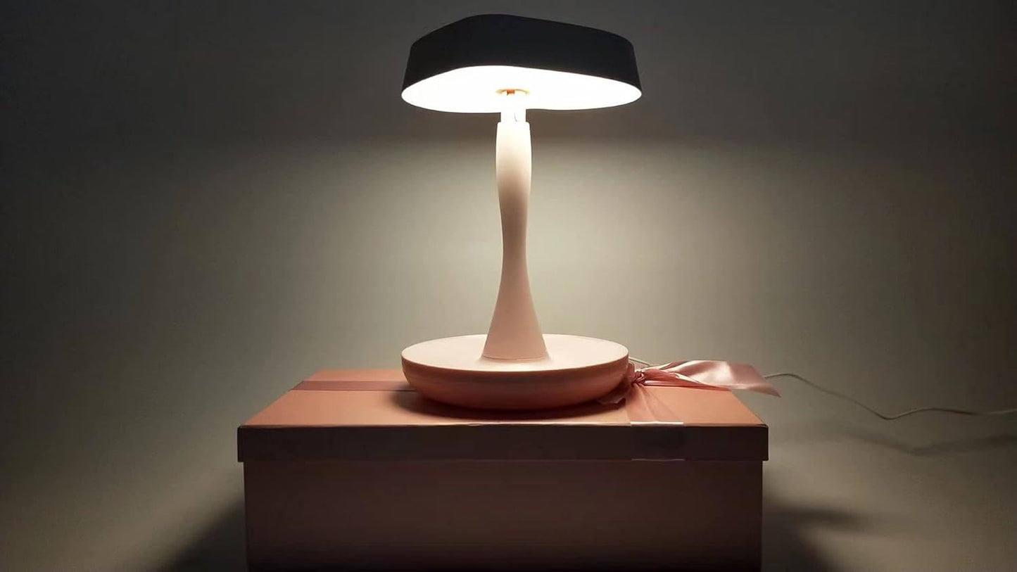 Makeup Mirror with Lights,2000 Mah LED Rechargeable Makeup Mirror,Back Ambient Light, Nice Gift for Daughter Girlfriend Wife Sister,Red